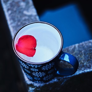 生活-宅-花瓣-杯子-水 图片素材