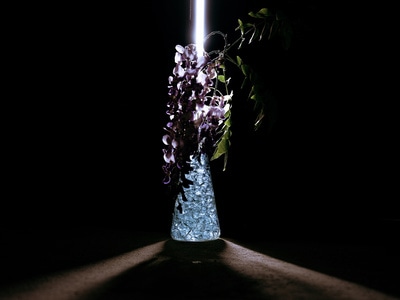 玻璃渣-紫藤萝-春天-花-花朵 图片素材