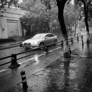 合肥市-雨-黑白-人像-街头 图片素材