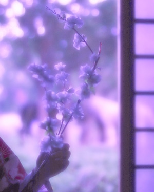 写真-人像-和服-花-花卉 图片素材