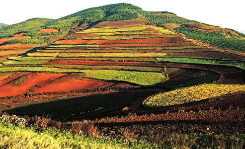 云南-东川红土地-旅游-地形地貌-色彩斑斓 图片素材