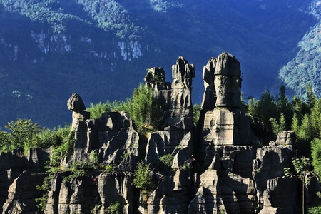 四川长宁-竹石林景区-风光-旅游-石林 图片素材