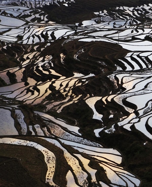 云南元阳梯田-风光-旅拍-中国加油-云南元阳梯田 图片素材