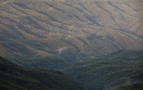 四川长宁-蜀南竹海-风光-光影-风景 图片素材