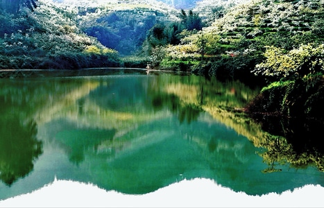 风光-四川长宁-旅游-梨花-倒影 图片素材