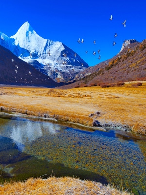 旅行-风光-稻城-光影-抓拍 图片素材