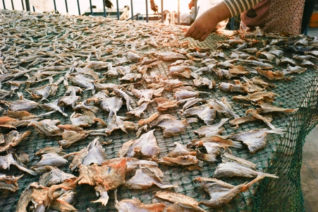 阳江-场景-色彩-海陵岛-食品 图片素材