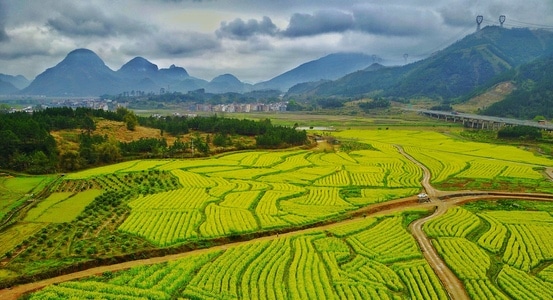 场景-色彩-风景-花-韶关 图片素材