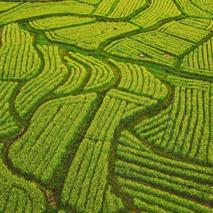 风景-场景-色彩-韶关-风光 图片素材