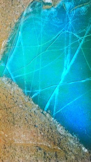 色彩-风景-手机-海洋-泳池 图片素材