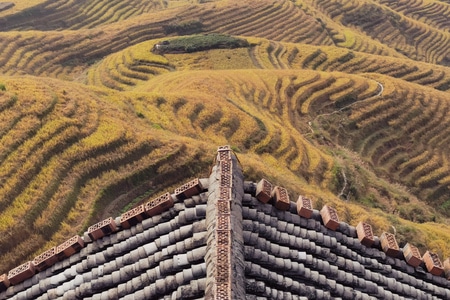 色彩-风景-窗外-华为-手机 图片素材