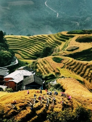 色彩-场景-手机-华为p30-龙胜 图片素材