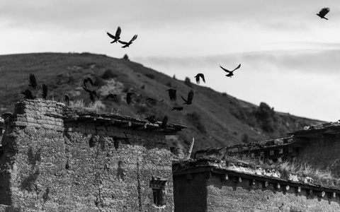 纪实-藏区-废墟-黑白-房屋 图片素材