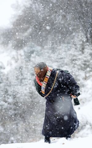 藏区-纪实-老人-人像-大雪 图片素材