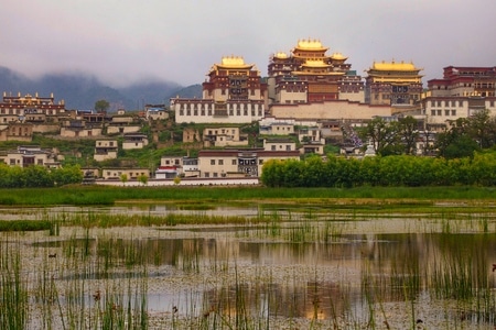 旅拍-风光-云南-松赞林寺-寺庙 图片素材