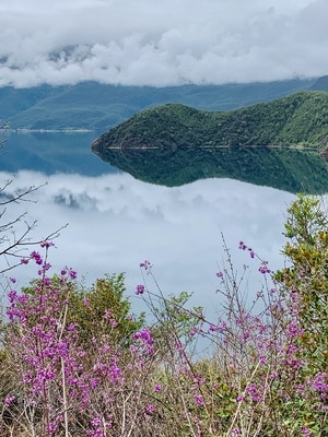 在路上-旅拍-风光-泸沽湖-自然 图片素材