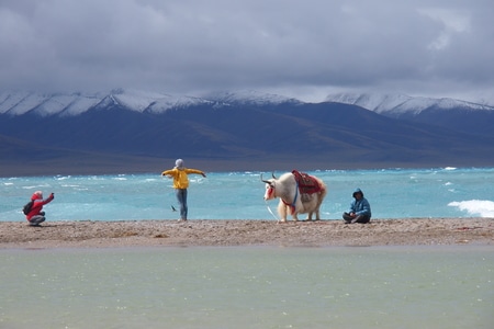 旅行-西藏-圣湖-风景-风光 图片素材