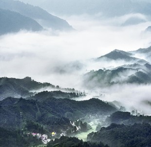 自然风光-河南信阳-茶山-茶山-丘陵 图片素材