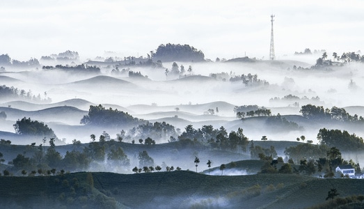 河南信阳风光-茶山风光-风景-风光-茶园 图片素材