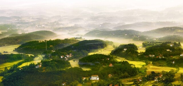 自然风光-河南信阳-田园-信阳-树 图片素材