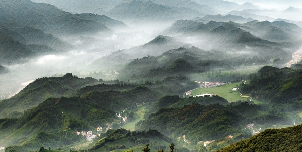 自然风光-茶山-河南信阳-茶山-丘陵 图片素材
