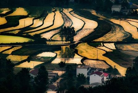 风光-旅行-自然风光-河南信阳-田园 图片素材
