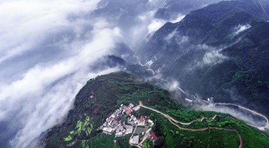 自然风光-河南信阳风光-茶山风光-风景-风光 图片素材