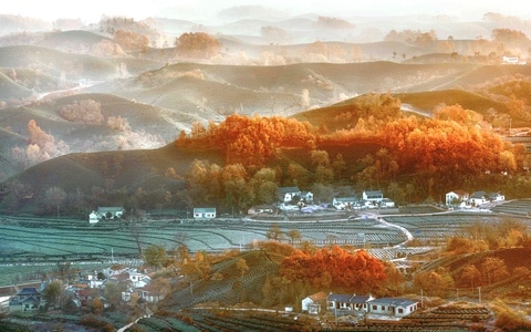 自然风光-河南信阳-茶山-风景-风光 图片素材