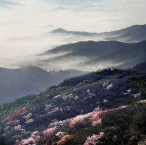 河南信阳-自然风光-山-山峰-山脉 图片素材