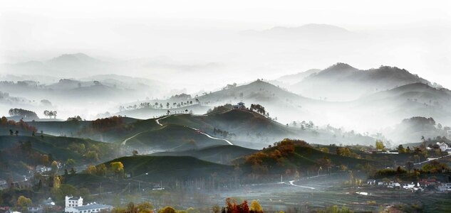 河南信阳-自然风光-茶山-丘陵-风光 图片素材