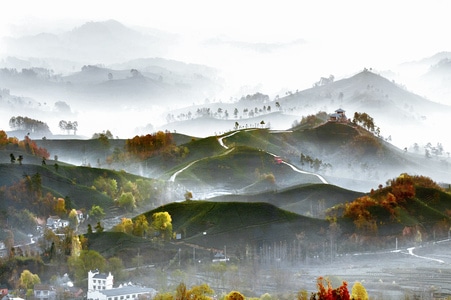 河南信阳-茶山-自然风光-风景-风光 图片素材