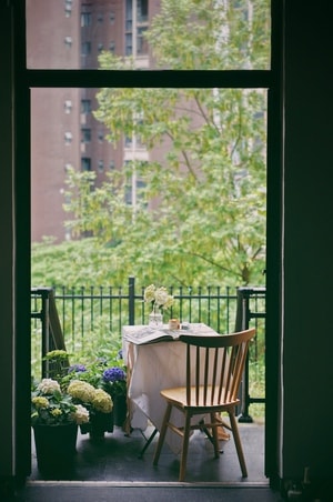 静物-室外-早餐-自然-植物 图片素材