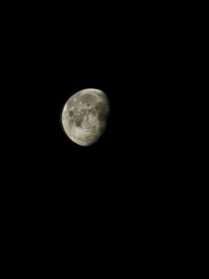 手机摄影-月亮-月亮-夜景-夜色 图片素材