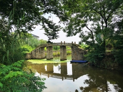 古建筑-桥-水乡-历史-船屋 图片素材