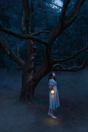迷雾-森林-黑夜-人像-女性 图片素材