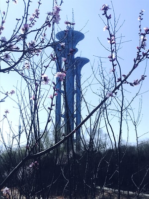 奥林匹克塔-花朵-色彩-春-奥林匹克塔 图片素材