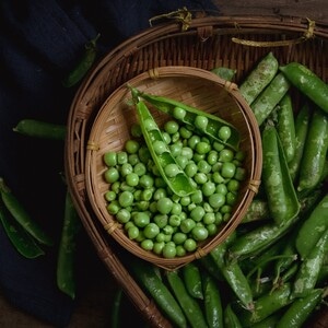 成都-富士-生活-豌豆-食物 图片素材