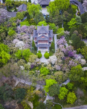 西安-城市-看你的城市-建筑-风光 图片素材