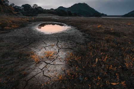 风光-风景-水坑-草地-树 图片素材