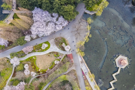 青岛市-你好2020-风光-风景-风光 图片素材