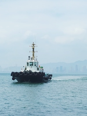 港口-船只-作业-大海-船 图片素材