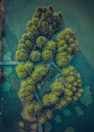 70周年城市-70周年摄影大赛-辰山植物园-风景-风光 图片素材