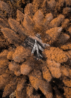 一镜知秋-秋天-艺术风光-城市-航拍 图片素材