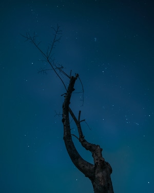 星空-城市-风光-树木-湖州 图片素材