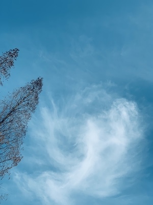 手机摄影-生活随拍-风景-云-天空 图片素材