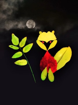花花草草-生活-创意-树叶-叶子 图片素材