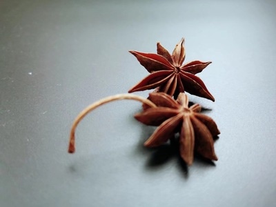静物-生活-胸针-饰品-静物 图片素材