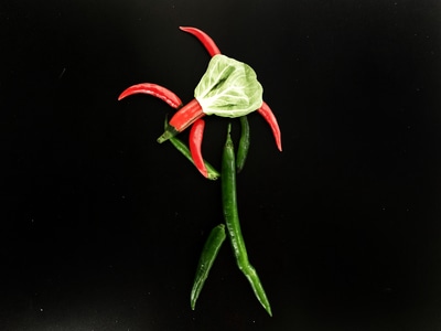 手机摄影-创意画-辣椒-植物-草本植物 图片素材