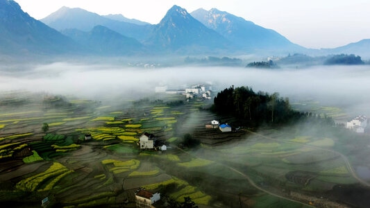 江南-清明节-油菜花-风景-梯田 图片素材