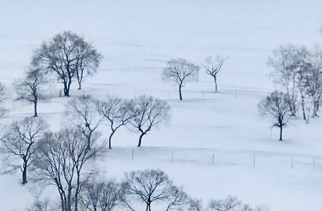 赤峰市-坝上草原-风景-风光-雪地 图片素材